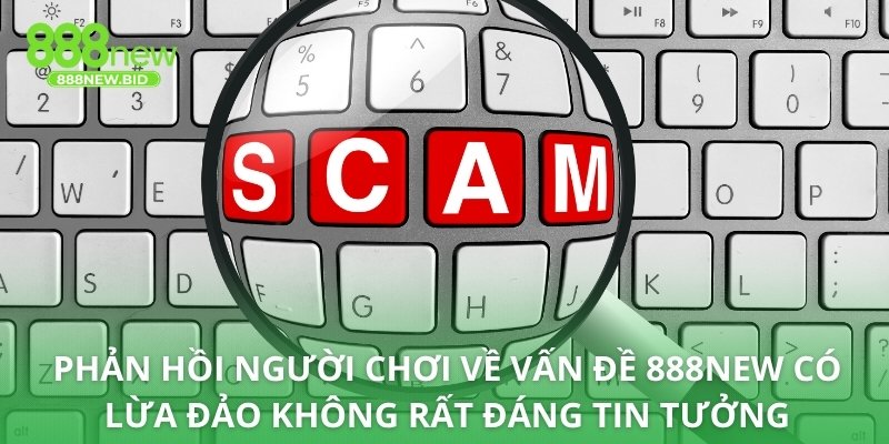 Phản hồi người chơi về vấn đề 888NEW có lừa đảo không rất đáng tin tưởng
