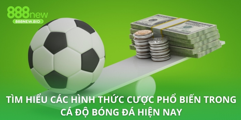 Tìm hiểu các hình thức cược phổ biến trong cá độ bóng đá hiện nay