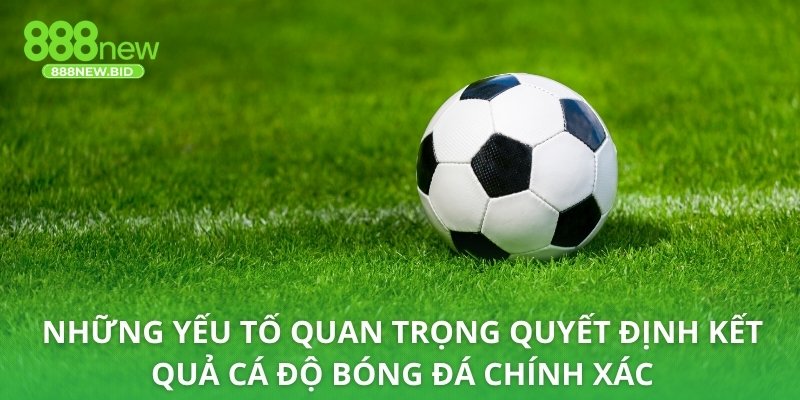 Những yếu tố quan trọng quyết định kết quả cá độ bóng đá chính xác
