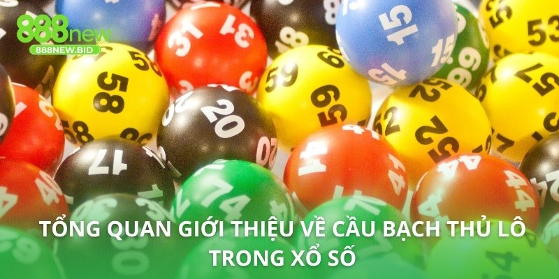 Tổng quan giới thiệu về cầu bạch thủ lô trong xổ số
