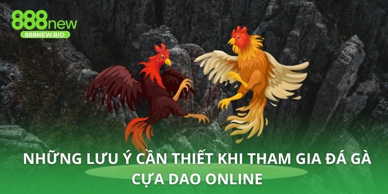 Những lưu ý cần thiết khi tham gia đá gà cựa dao online