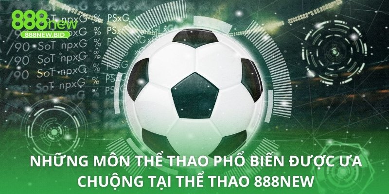 Những môn thể thao phổ biến được ưa chuộng tại thể thao 888NEW