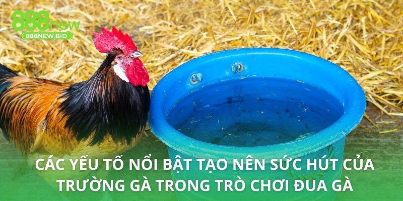 Các yếu tố nổi bật tạo nên sức hút của trường gà trong trò chơi đua gà